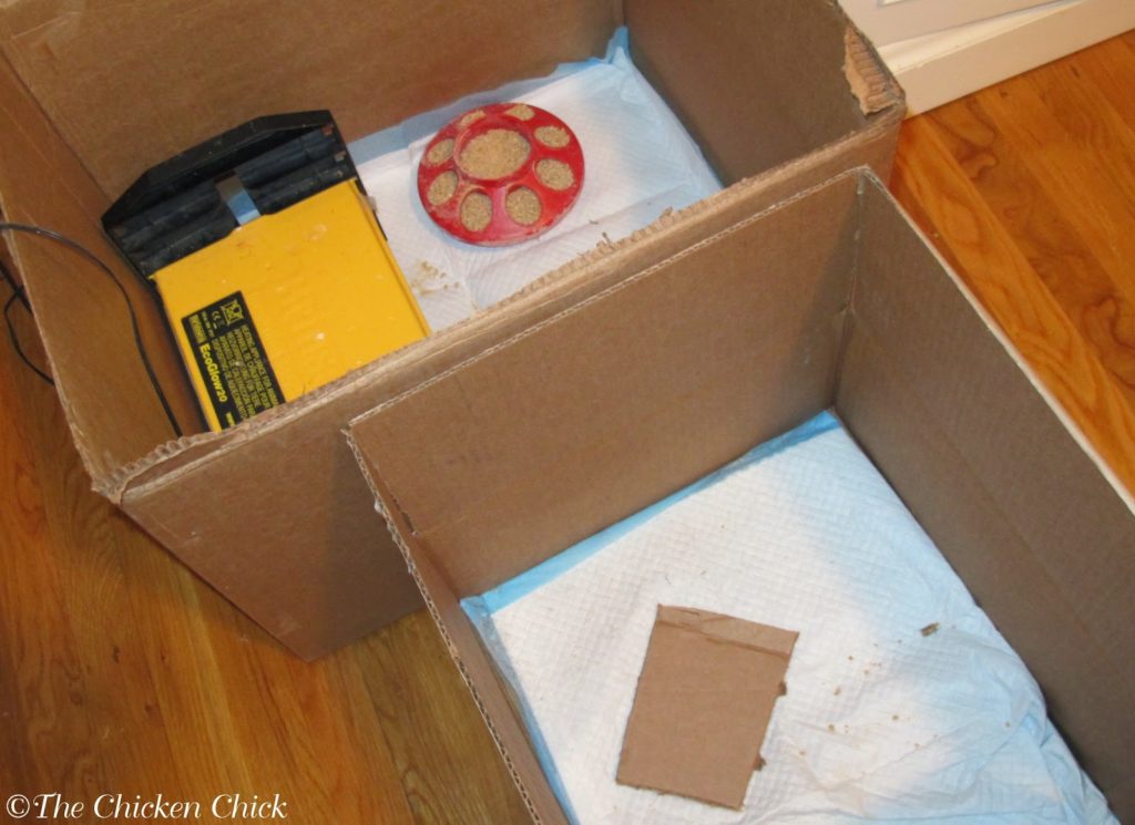 chick cardboard shipping boxes