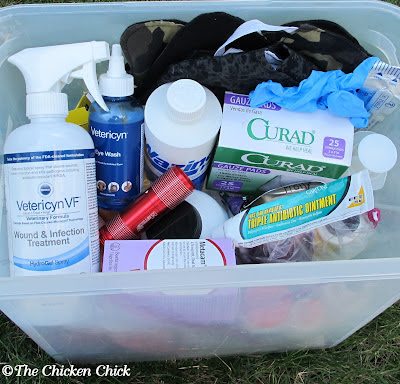I prepare for emergencies in my flock by keeping a well stocked chicken first aid kit. For beak injuries, the following supplies are essential: canine nail clippers, a wound care rinse such as Vetericyn VF hydrogel, (a wound treatment and infection control spray) bloodstop powder, tweezers, a nail file, Superglue gel, cotton swabs, old towels and tea bags (or silk nail wraps for acrylic fingernails). Having the proper supplies ready when a chicken is injured or sick allows me to focus on the chicken and their immediate needs instead of scrambling in a panic to acquire the essential items. 
