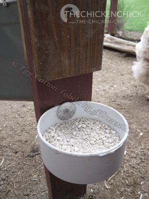 Provide access to calcium. While layer feed contains calcium, an additional source of calcium, such as crushed oyster shells or clean eggshells, should be made available to hens at 18 weeks old in a separate dish, apart from the feed. 