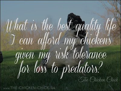 Free Range, RANGER® The Free Range Chicken is always Northwest grown under  our high-quality standards. All RANGER® The Free Range Chickens are: ✔️  Raised Free Range