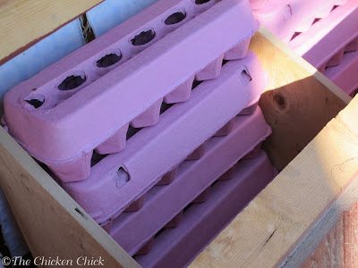Barricading the nest boxes with egg cartons discourages sleeping in them.