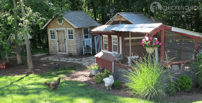 Chicken Coop Fly Control