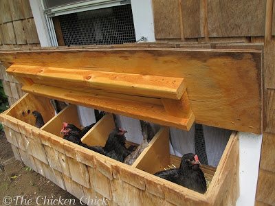 Nest boxes sharing is normal and expected, but 3-4 hens per nest is a recipe for broken eggs, egg-eating and pecking injuries. The stress of competing for a nest is also likely to put the kibosh on egg-laying for weeks