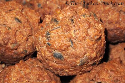 We can help them keep up with those demands by increasing their protein intake during the molt. I created a recipe for muffins that are high in protein, using primarily ingredients that they would naturally seek-out during a molt. 
