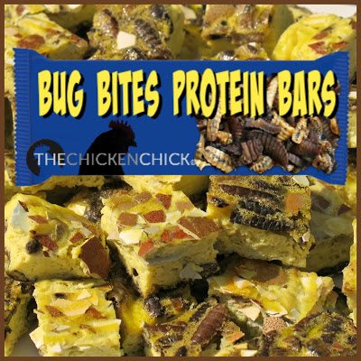 Bug Bites homemade protein bars for chickens