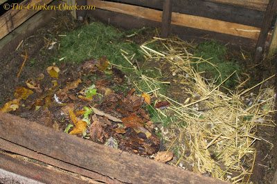 This is my compost pile behind my chicken coops. We layer it with chicken droppings, leaves, grass clippings, kitchen scraps and straw from nest boxes. 