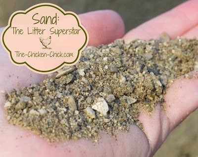 Sand: The Litter Superstar
