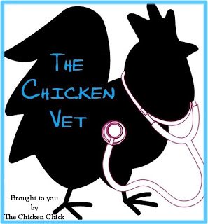 While researching a blog article in March 2012, I stumbled upon a blog authored by a real live chicken veterinarian and I felt as though I had hit the lottery!