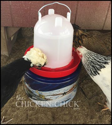 Chickens eat more in the winter to regulate their temperature and they require water to digest food- if water is frozen, they will not eat and cannot warm themselves properly.