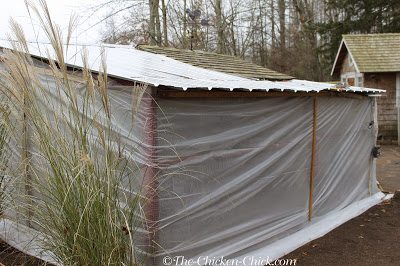 Bales of straw or hay should not be placed inside the chicken coop as insulation. Mold and fungus can grow inside the bales and create a respiratory disaster area inside the coop, in particular, Aspergillosis (brooder pneumonia). Far better to have a cold coop than sick chickens.