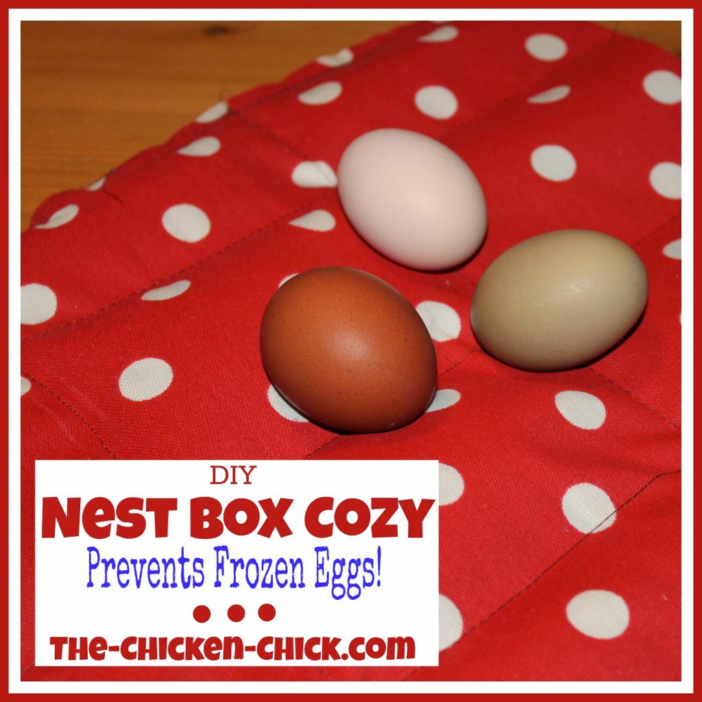 DIY Nest Box Cozy Prevents frozen eggs