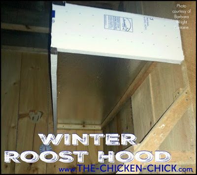 Surviving Winter with Chickens