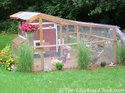 Chicken Coop Temp Below Ambient? : r/BackYardChickens