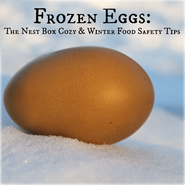 Chicken Care | The Chicken Chick® - Frozen-Thawed Chick Care And Nutrition For Small And Backyard Flocks