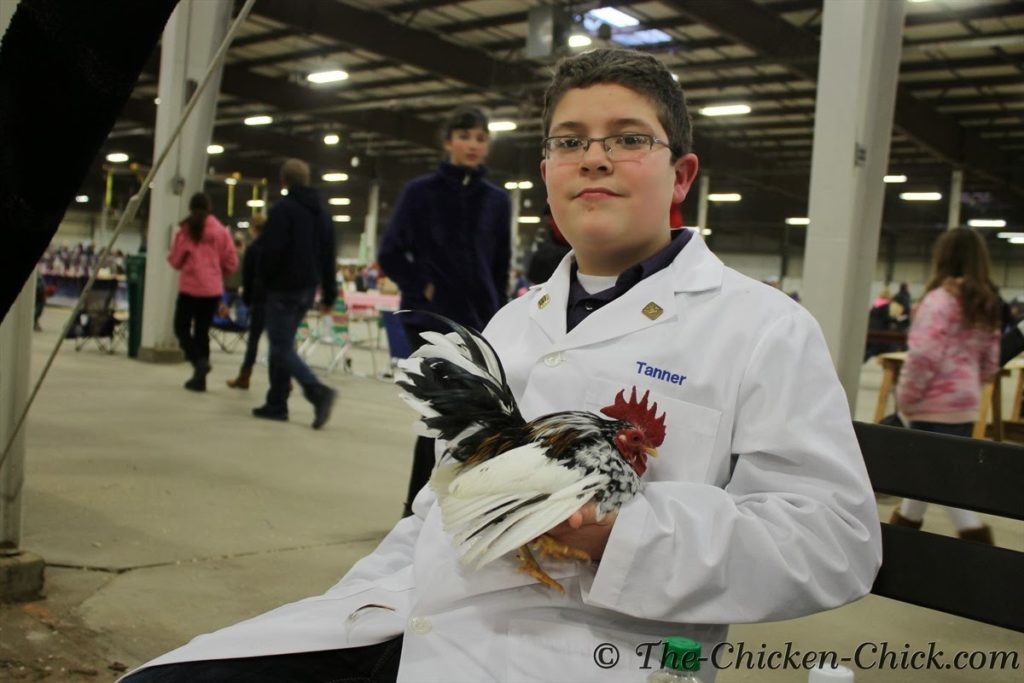 Junior exhibitor with his Serama cockerel
