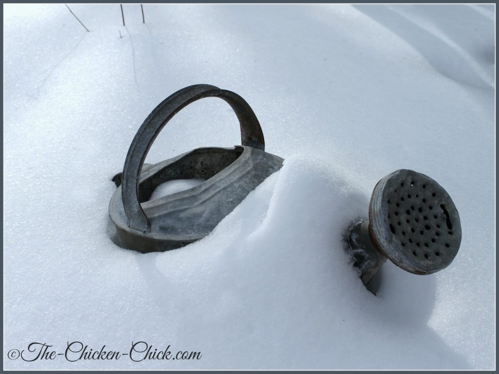 Snowy watering can.