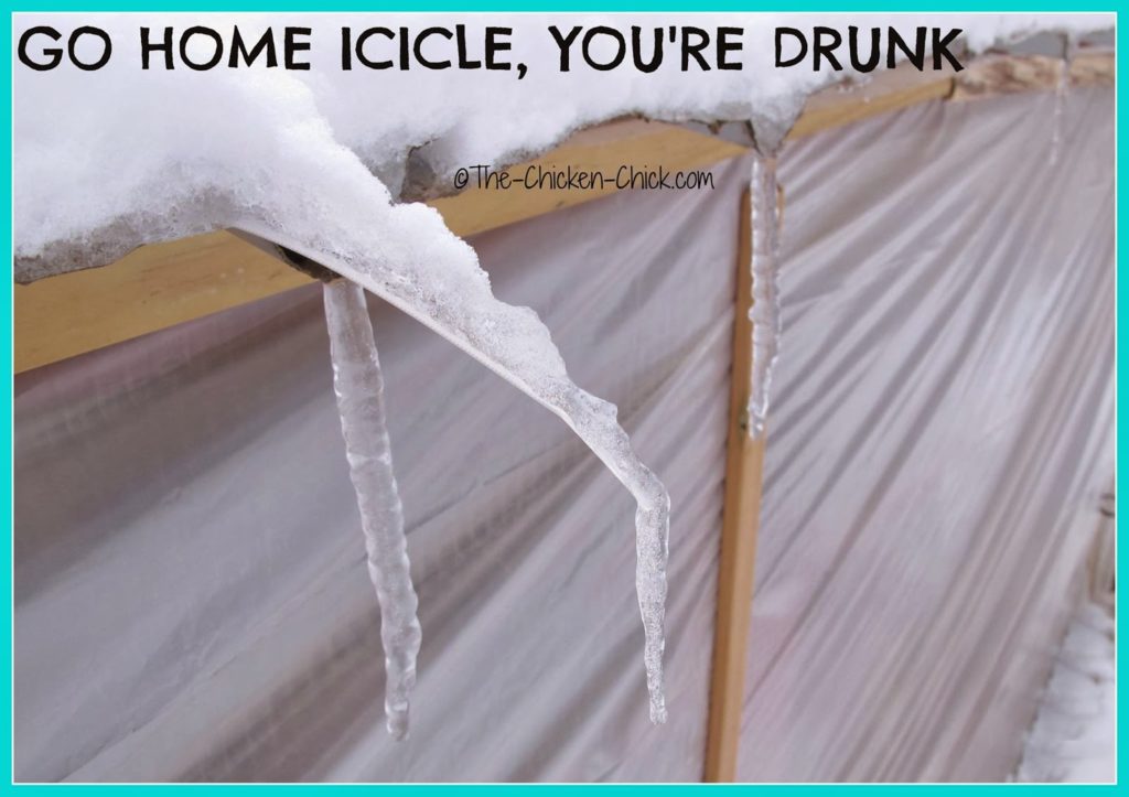 Go home icicle, you're drunk.