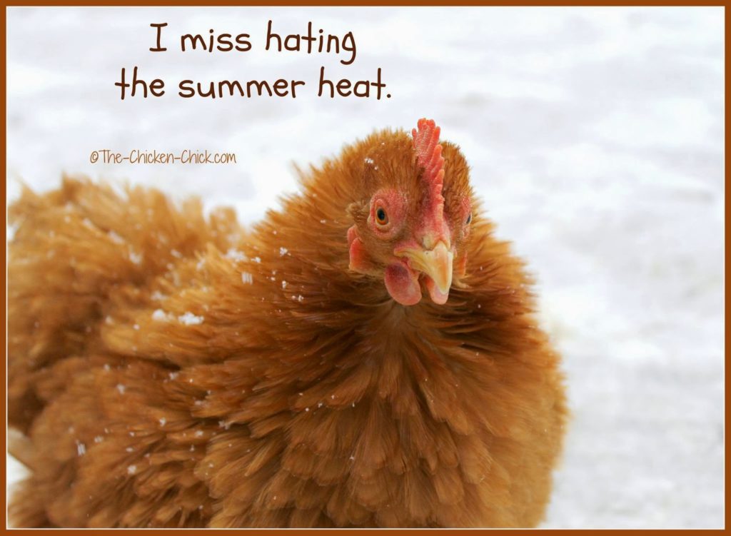 I miss hating the summer heat.