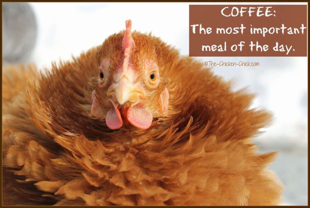 Coffee: The most important meal of the day.
