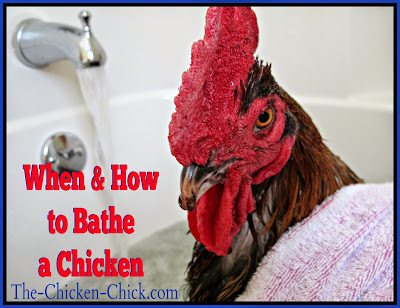 Can You Take a Bath While Pregnant? - Baby Chick