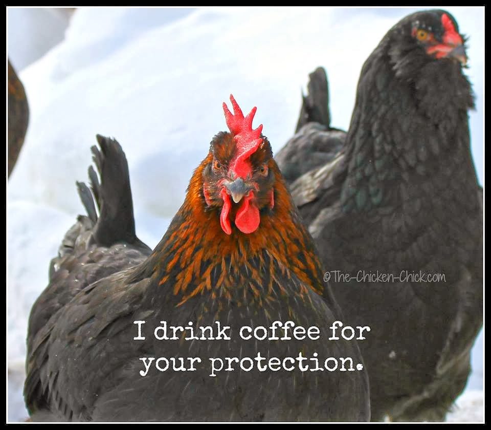 I drink coffee for your protection.