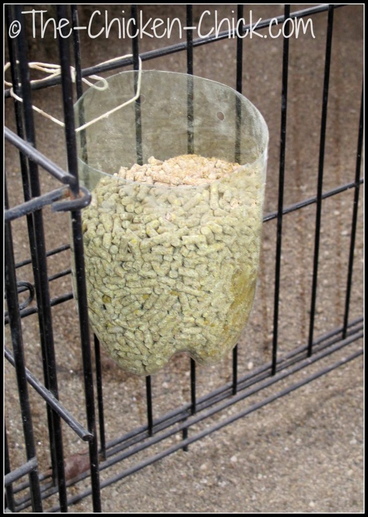 Chicken Feeder made from recycled plastic bottles.