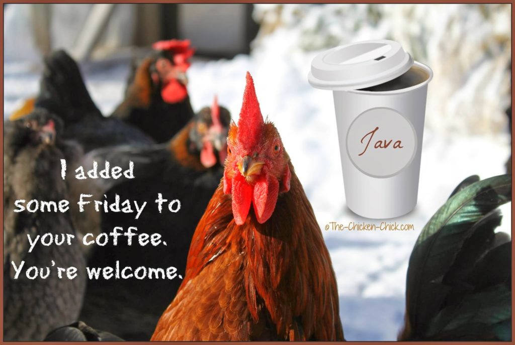 I added some Friday to your coffee. You're welcome.