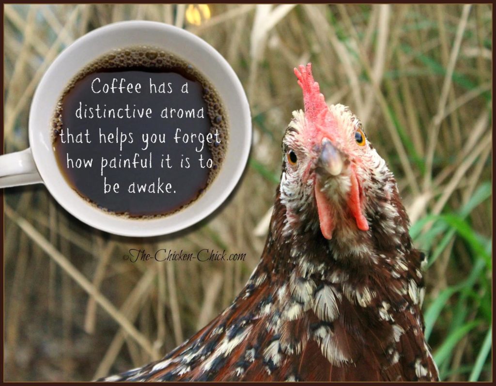 Coffee has a distinctive aroma that helps you forget how painful it is to be awake.