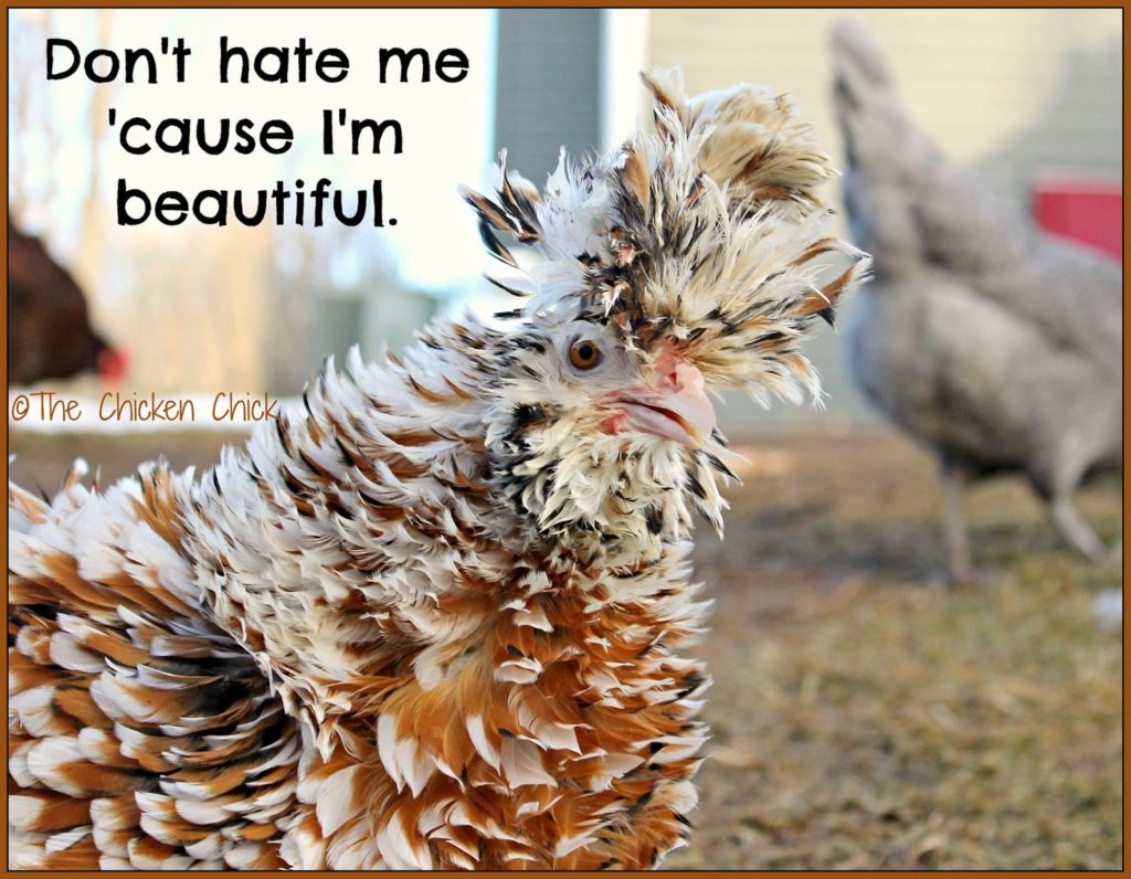 Don't hate me 'cause I'm beautiful.