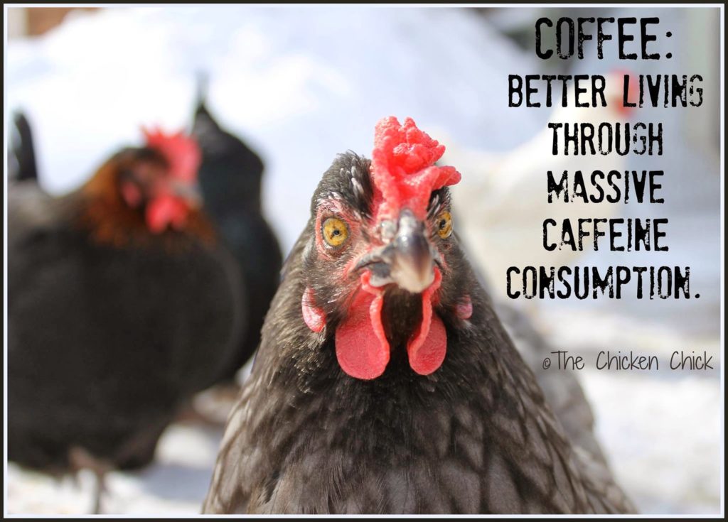 COFFEE: Better living through massive caffeine consumption.