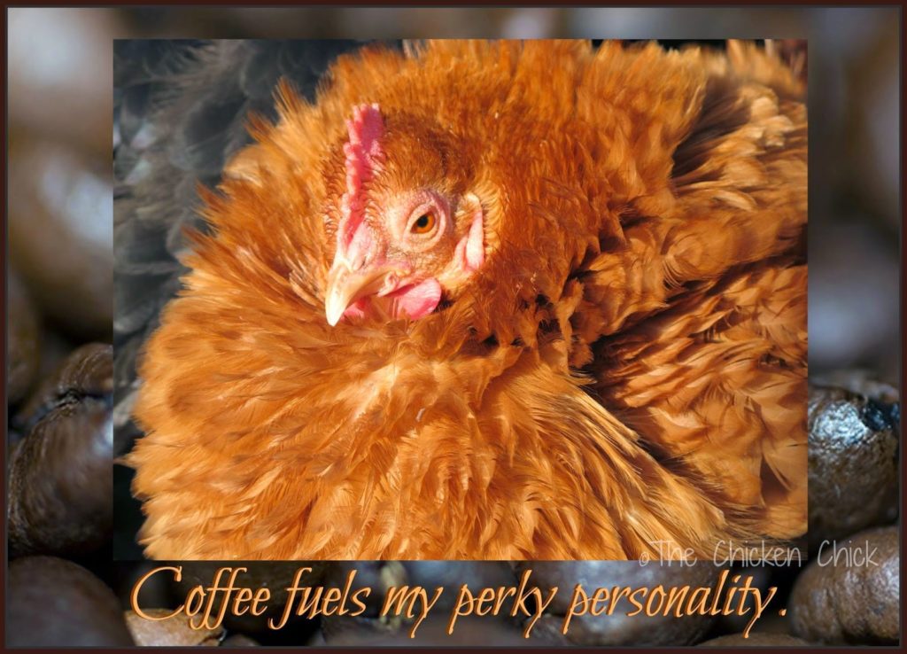 Coffee fuels my perky personality.