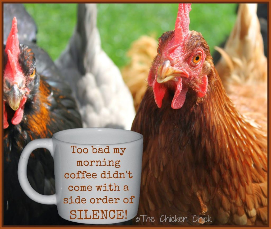 Too bad my morning coffee ddn't come with a side order of SILENCE!