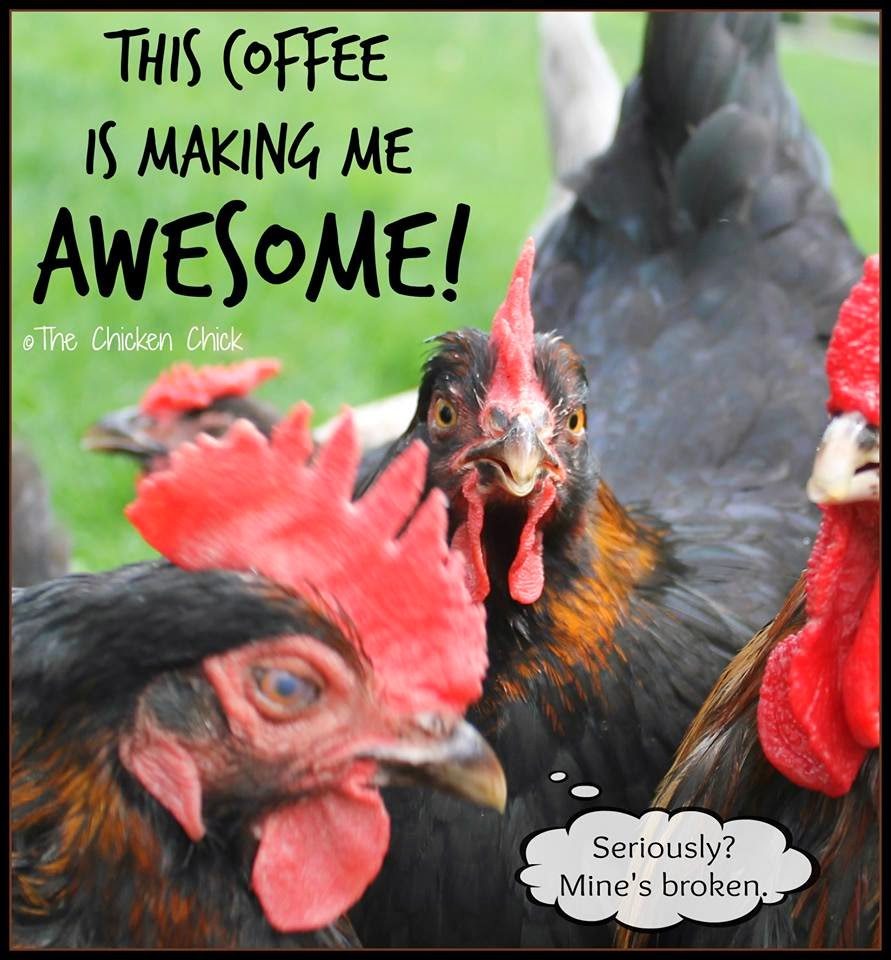 This coffee is making me AWESOME!