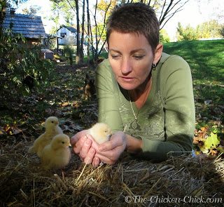 Kathy Shea Mormino, The Chicken Chick®