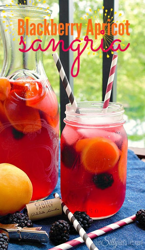 Clever Chicks Blog Hop #87 with a Chicken Fountain Giveaway! Blackberry Apricot Sangria, shared by This Silly Girl's Life