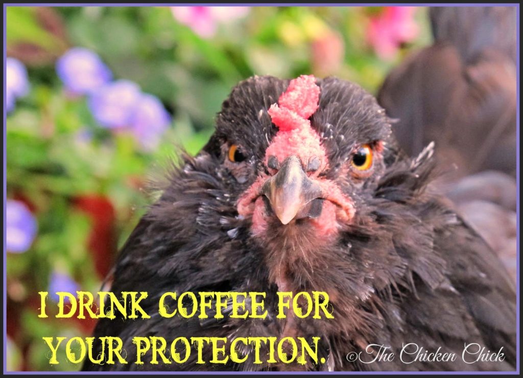 I drink coffee for your protection.
