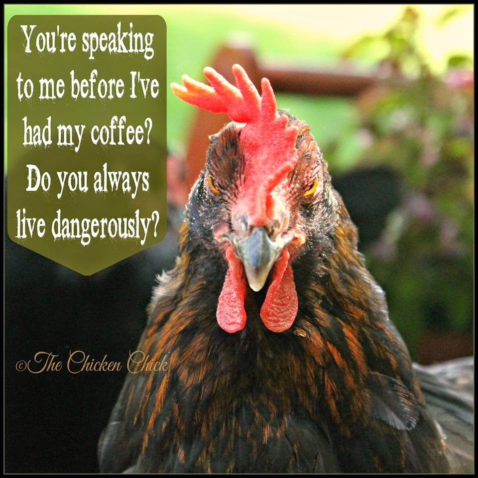You're speaking to me before I've had my coffee? Do you always live dangerously?