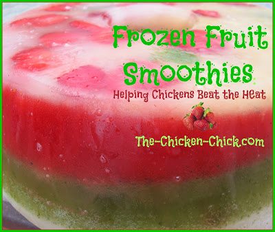 I use my cheapo punch bowl to serve Pullet Punch- don't judge!