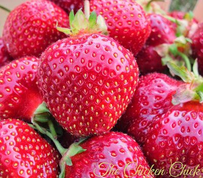 Any fruit can be substituted for those listed- this is less a recipe than a fun technique. Of course, vegetables can also be used, but...personally, I prefer sweet treats to pureed veggies on a hot day.