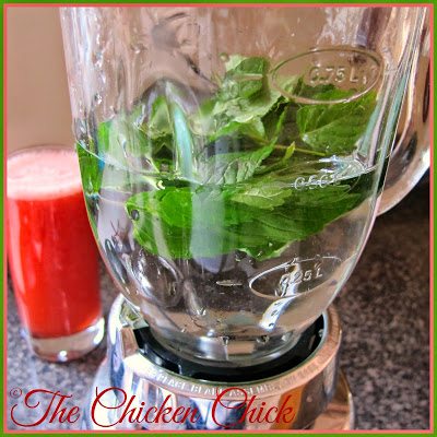 In a blender or food processor, place one of the fruits or mint and cover with as much water as desired. Blend until liquefied and set aside. Repeat this step with each remaining ingredient.