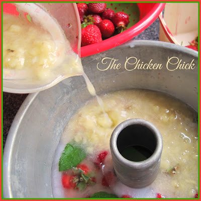 Repeat the blending process with each remaining ingredient. Add mint leaves and/or chopped fruit in between layers of puree.