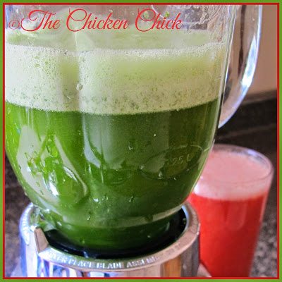 certainly use mint if you have it, but do not suffer the false impression that it is helping lower their body temperature. It will not.