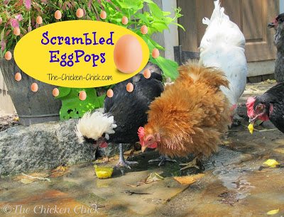 Another frozen treat that does double duty as a protein-packed summer snack is Scrambled EggPops!