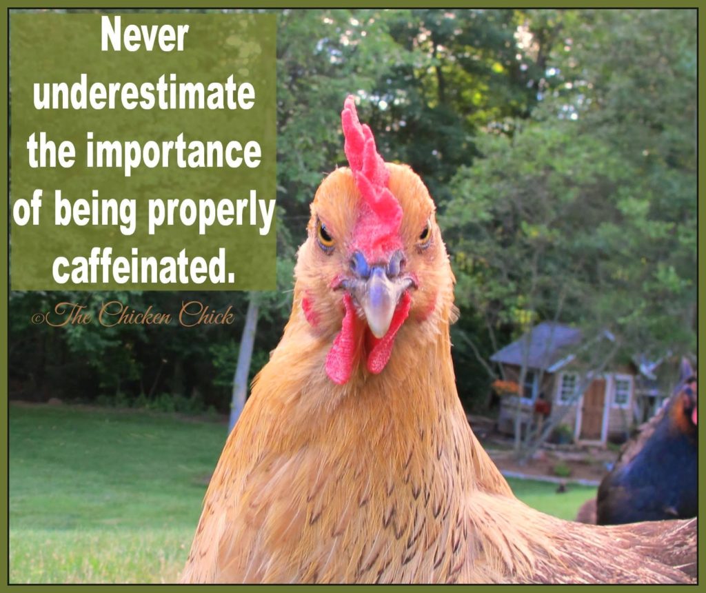 Never underestimate the importance of being properly caffeinated.