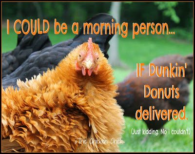 I COULD be a morning person...if Dunkin' Donuts delivered. (Just kidding. No I couldn't.)