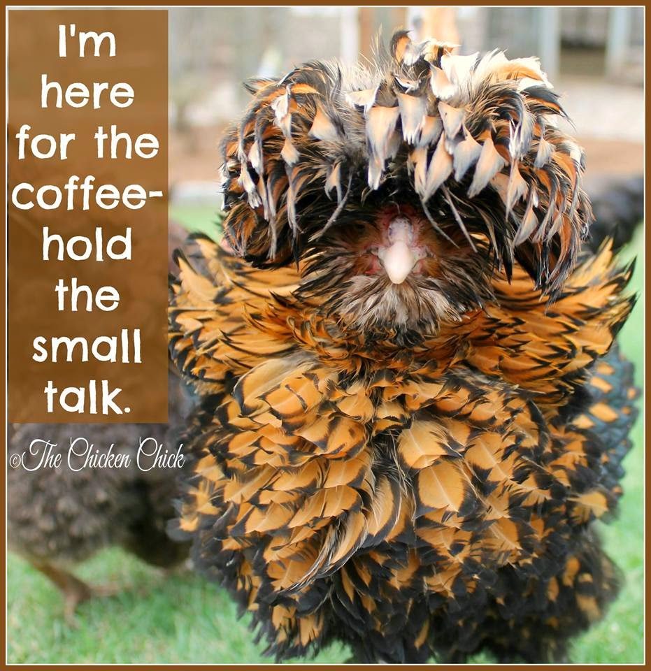 I'm here for the coffee- hold the small talk.