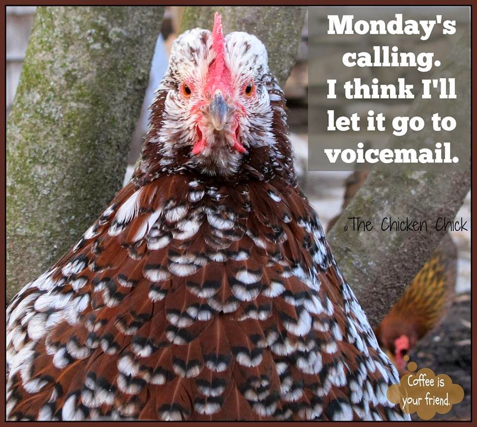 Monday's calling. I think I'll let it go to voicemail.
