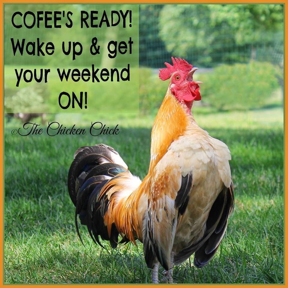 Wake up and get your weekend ON!