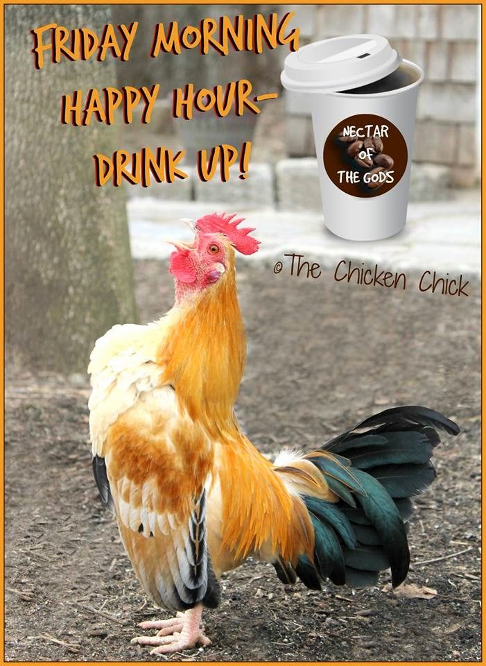 Friday morning happy hour- drink up!