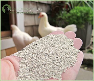 The Chicken Chick's Sweet Coop® Zeolite, Because a wet coop stinks!™